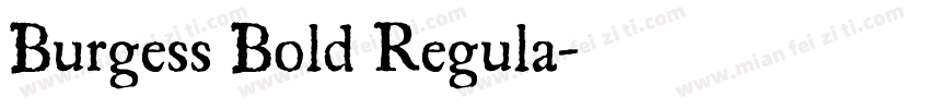 Burgess Bold Regula字体转换